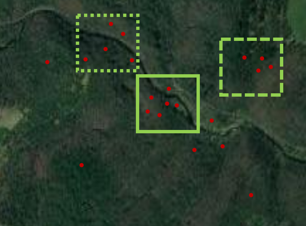 an aerial photo with markers indicating 21 reports
	      of wavyleaf basketgrass; 3 rectangles are shown
	      as examples of ranges, with 4, 5, and 6 markers
	      inside each rectangle respectively
